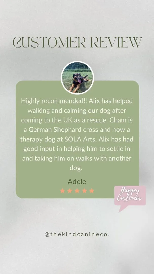 Customer testimonial
