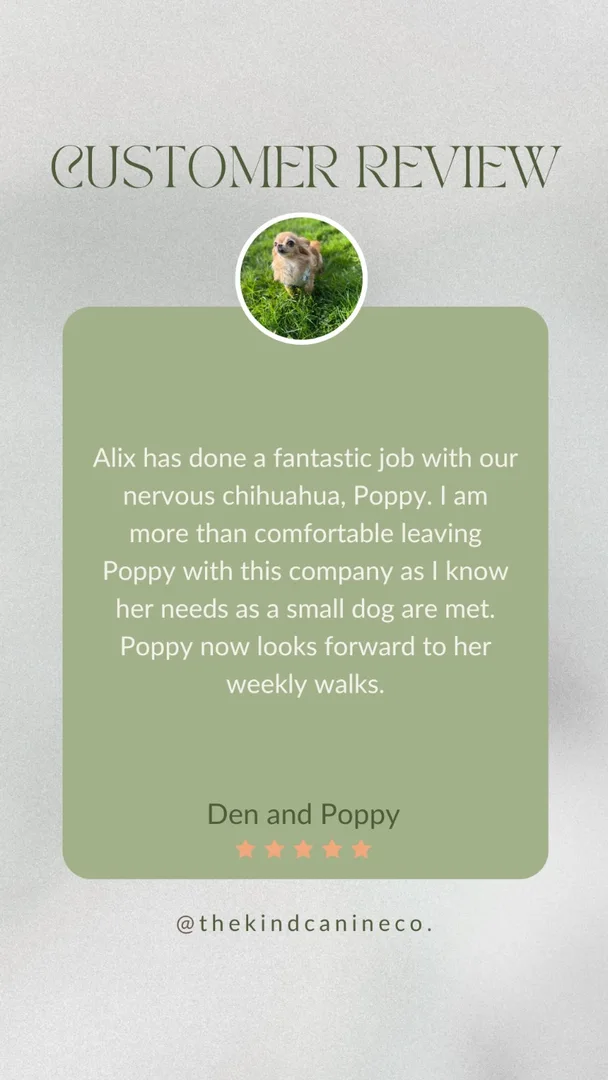 Customer testimonial