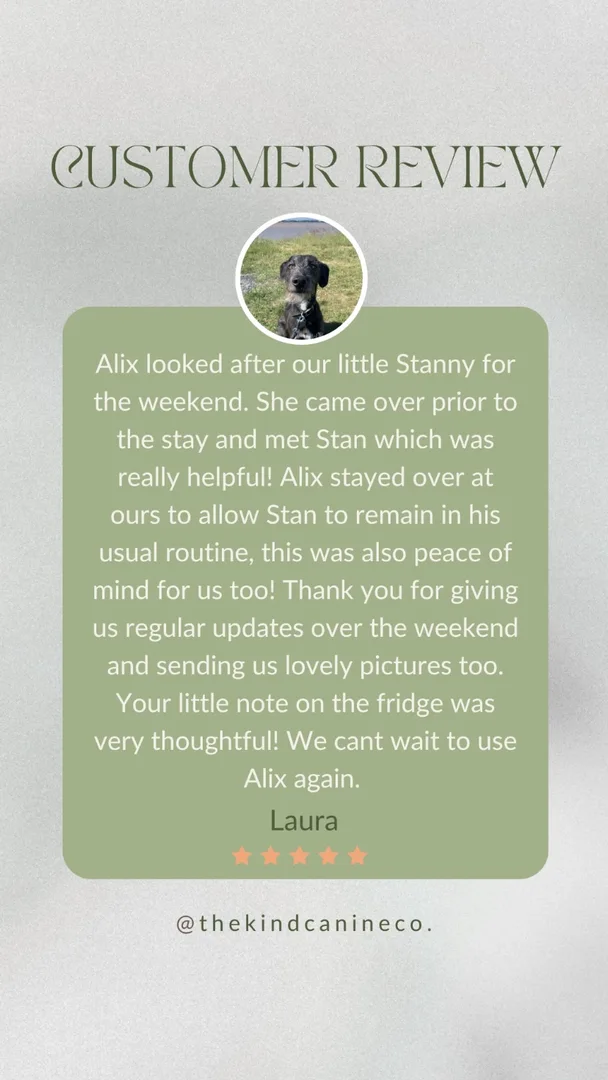 Customer testimonial
